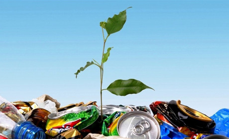 У Володимирці знов взялися за сміттєзвалища