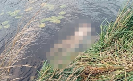 Жорстоке вбивство на Житомирщині: у річці знайшли частини розчленованого тіла чоловіка