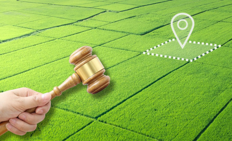 У Сарненській громаді на аукціоні продадуть право оренди земельних ділянок