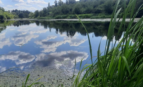У міськраді Новограда просять повідомляти про місця скидів нечистот в річки громади