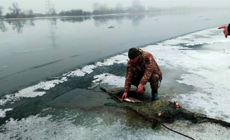 Засідка для полювання і фермерство в нацпарку : у Нижньодністровському НПП виявили грубі порушення