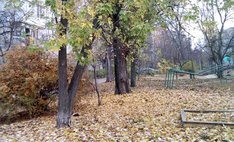 Сніг і мороз: погода в неділю