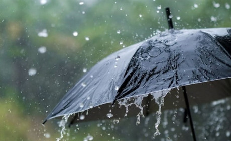 Вночі на Сумщину прийдуть сильні заморозки, а в неділю буде дощ із грозою