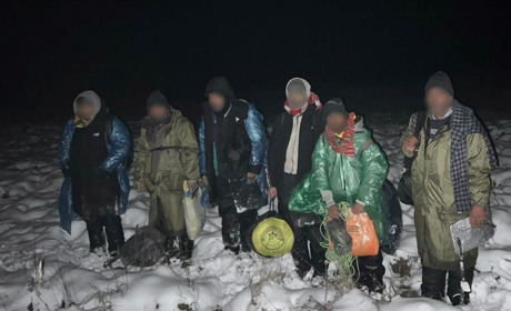 На Житомирщині на кордоні з білоруссю затримали групу нелегальних мігрантів