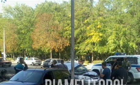 В центрі Мелітополя дерево впало на проїжджаюче повз авто