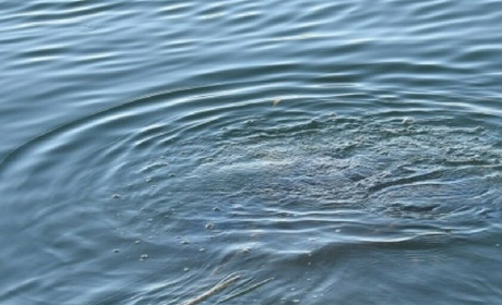 Пошли купаться и не вернулись, отдых завершился трагедией