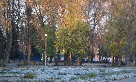 Щоденний дайджест від Золотоноша.City: зустрічаємо новий день – 4 листопада 2021 року