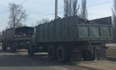 Обгоревший на Херсонщине лес вывозят военными машинами