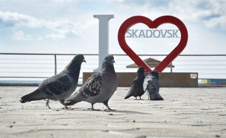 Приїхали на проводки і заразили