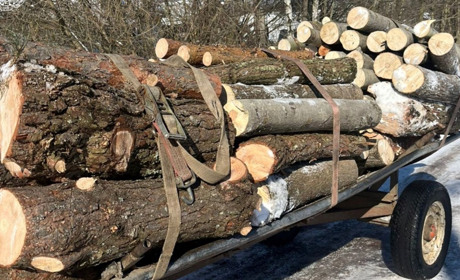 Майже 350 тисяч збитків: на Шепетівщині розслідують екозлочин