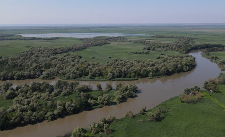 На Дністрі та Турунчуку запровадили нові обмеження для човнів і відпочивальників: які саме