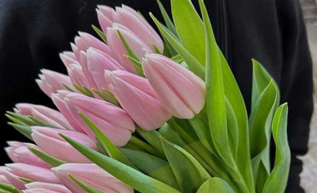 Майже 27 000 гривень на тюльпани: шахраї залишили 19-річного звягелянина без квітів і грошей