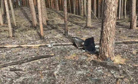 У Гадячі загасили лісову пожежу після падіння уламків дрона