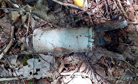 В лісі поблизу села на Житомирщині люди знайшли боєприпас "Урагану" — його знешкодили рятувальники
