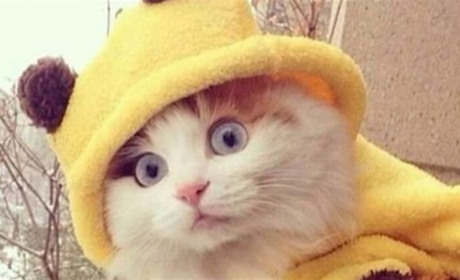 Синоптики обіцяють мокрий сніг і "плюси": якою буде погода у неділю та понеділок?