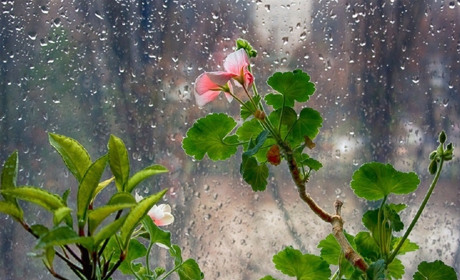 Как провести в Мелитополе выходные дни 1-2 февраля