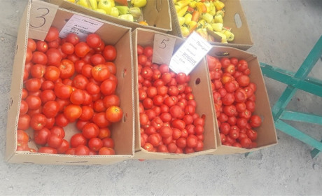 На Білопільщині небувалий урожай помідорів: їх продають по три гривні за кілограм. Маємо рецепти