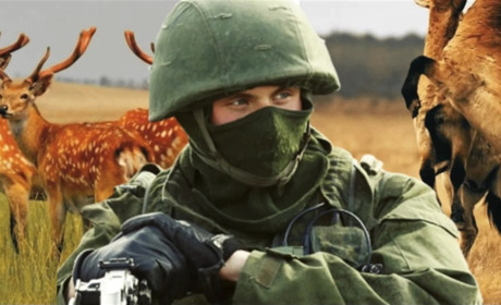 В Асканії-Новій окупанти шукали дезертирів та зброю