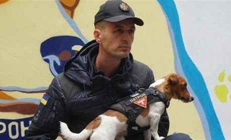 Пес Патрон у Хмельницькому відкрив присвячений йому мурал