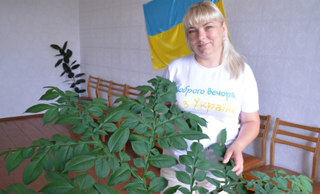 Зелений барометр росте в Буді на Корюківщині: сільчани точно знають, коли чекати дощу