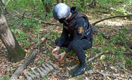 В Барському районі рятувальники знищили 9 боєприпасів часів Другої світової війни