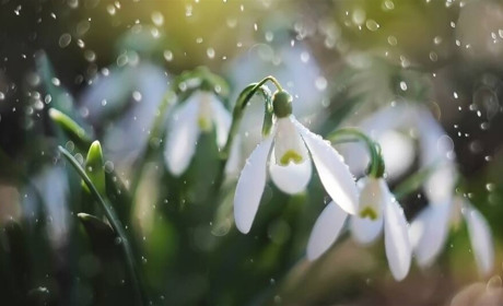 Вночі очікуємо морозів: яку погоду прогнозують синоптики на початку наступного тижня