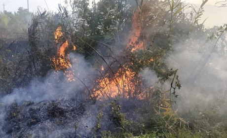У Сватовому на Зоряній горіла суха трава та очерет