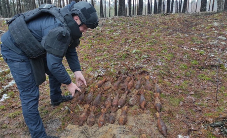 У Сарненському районі знищили 29 мін часів Другої світової війни