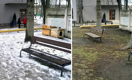 Куди в Барі зникли собачі будки, які спеціально для зимівлі безпритульних чотирилапих поставили люди