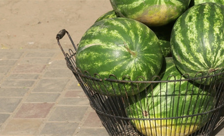 Фото дня: кавуни з Кривого Рогу для нікопольців