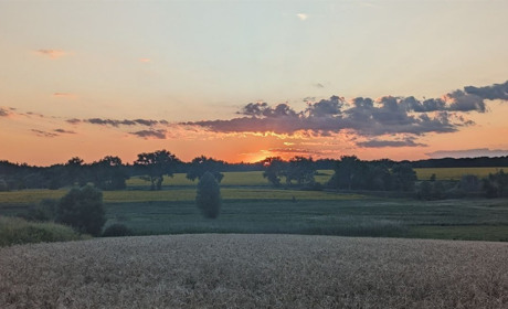 Сонце, тепло і короткочасні дощі: що прогнозують синоптики у вихідні, 9-10 серпня