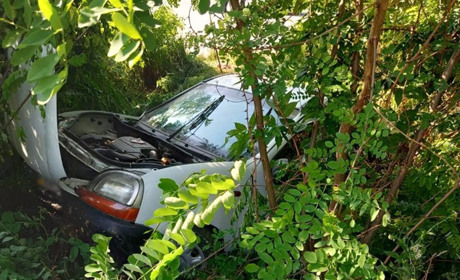 У ДТП на Звягельщині двоє дітей та жінка отримали травми — постраждалих госпіталізували