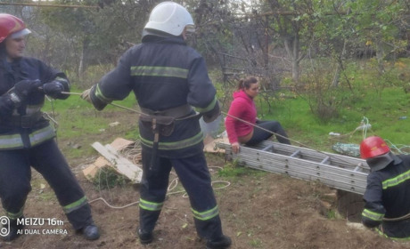 В Измаиле сотрудники ГСЧС спасли из колодца собаку