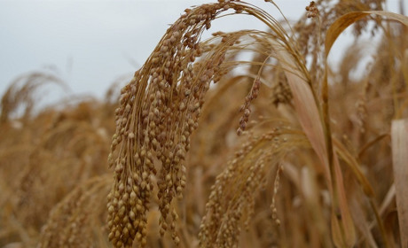 Розтрати групи посадових осіб досягли особливо великих розмірів