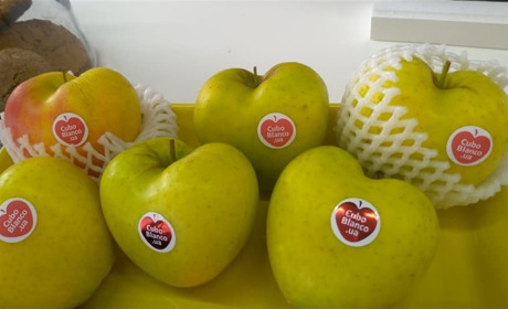 Досвід фермерського господарства з Добропільщини: Як продати яблуко за 70 гривень?