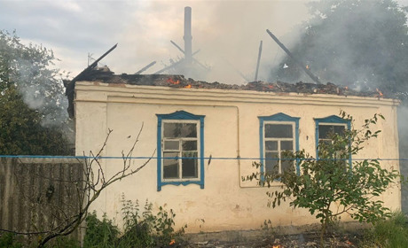 Спалив будинок співмешканки та заховався у кущах: на Житомирщині затримали палія