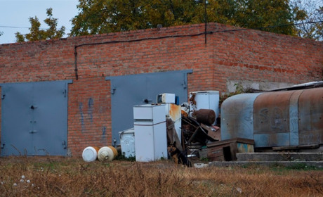 Пережити холод: як гадячани можуть полегшити зимівлю безпритульних тварин