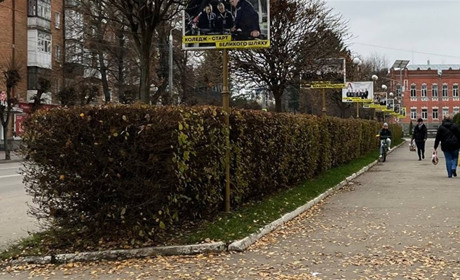 Погода у Барі з 10 по 16 листопада: коли дощитиме, коли буде сухо та коли очікувати заморозки