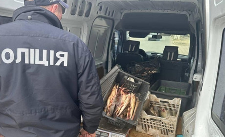 На Одещині чоловіка зупинили за порушення правил дорожнього руху, а він виявився браконьєром