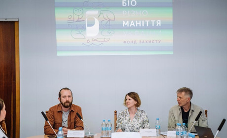 Орхідеї, метелики та бабаки: несподівані відкриття Глибоких Баликів у Ржищівській громаді