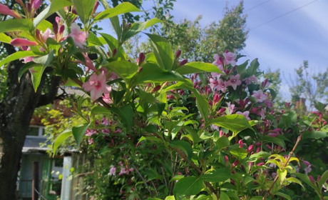 Старокостянтинівське літечко: складаємо пазли і впізнаємо знайомі краєвиди