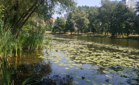 Від Сули здіймається туманець…