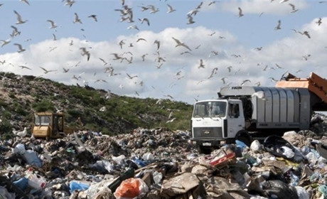 У Городку готують проєкт сучасного полігону для сміття. Де він буде розміщений