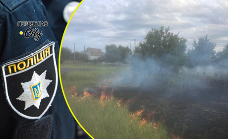 На Переяславщині горіла суха трава, а жінки скаржилися на чоловіків: хроніка поліції