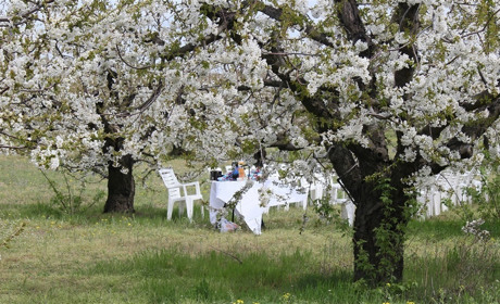 Как провести в Мелитополе  выходные и праздничные дни 27 апреля - 1 мая