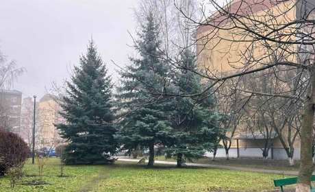 Погода у Старокостянтинові на 2-8 грудня: холодно, але без опадів