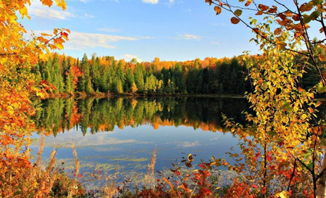 Яку погоду приготував нам початок наступного тижня?