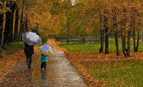 Погода на Сумщині та в Україні в найближчі дні: що говорять синоптики