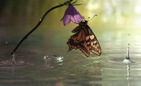 Якою погодою нас привітає червень? Прогноз на Сумщині та в Україні