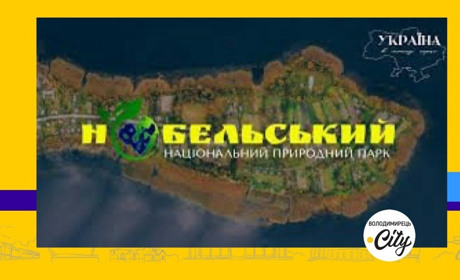 Зарічненська селрада поверне Нобельському нацпарку землю ціною 4 мільярди державі